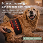 FellLicht | Rotlicht-Therapiegürtel für Hunde