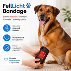 FellLicht Bandage | Rotlicht-Therapiebandage für Hunde