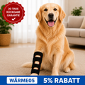 FellLicht Bandage | Rotlicht-Therapiebandage für Hunde