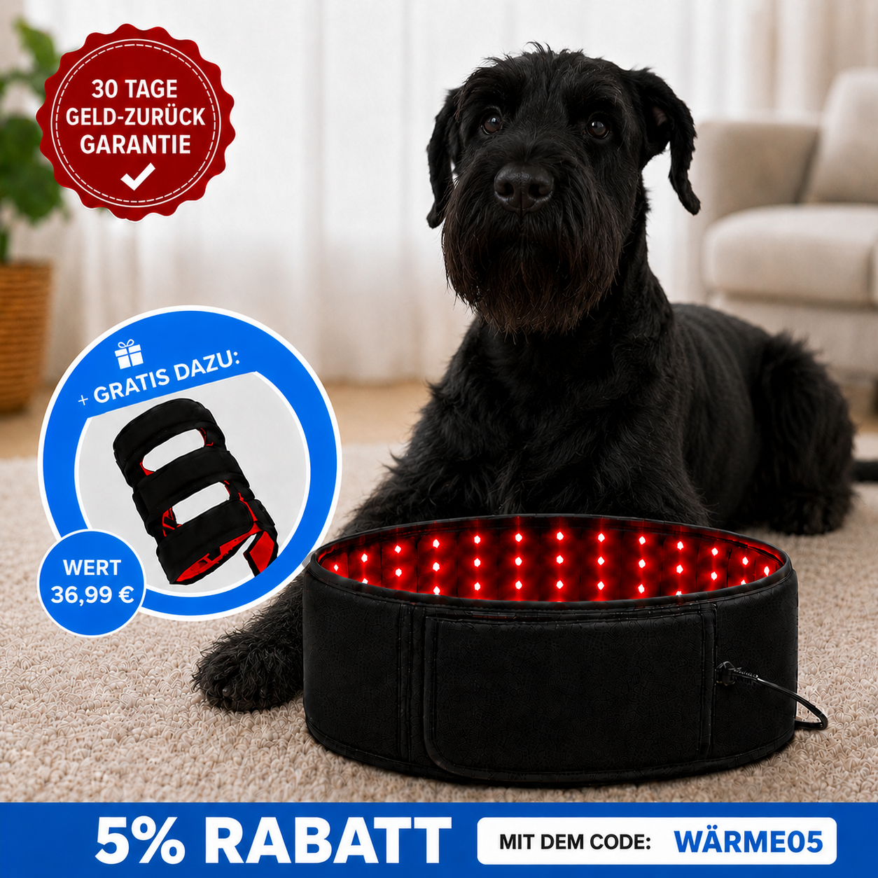FellLicht | Rotlicht-Therapiegürtel für Hunde
