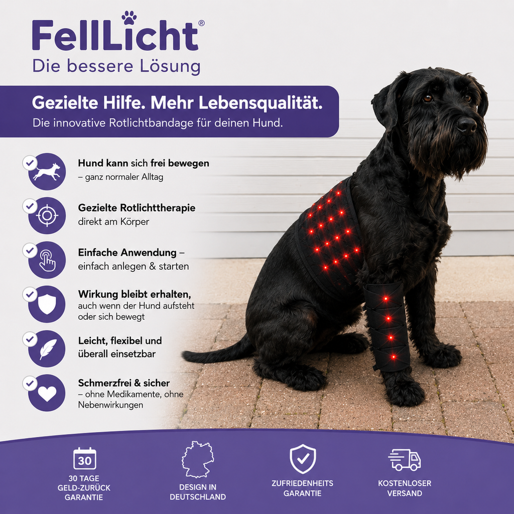 FellLicht | Rotlicht-Therapiegürtel für Hunde