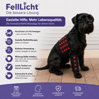 FellLicht | Rotlicht-Therapiegürtel für Hunde