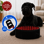 FellLicht | Rotlicht-Therapiegürtel für Hunde