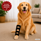 FellLicht Bandage | Rotlicht-Therapiebandage für Hunde