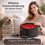 FellLicht | Rotlicht-Therapiegürtel für Hunde